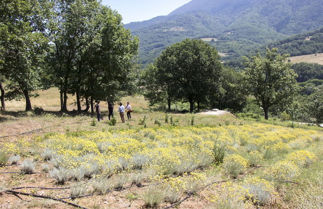 Ktima Bellou - Foto 30