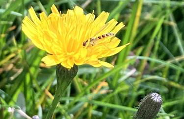 Ferienwohnung "Auszeit" - Photo 56