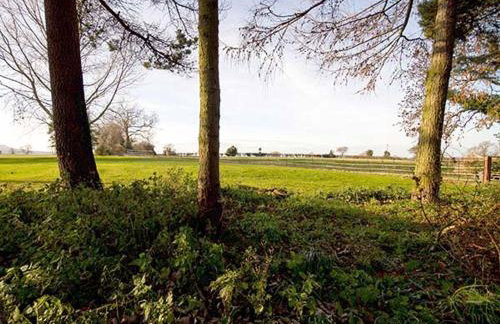 Beechwood Cottage - Foto 10