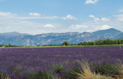 Le PORT MIOU près calanques de Cassis 2 chambres 6 personnes - Foto 36