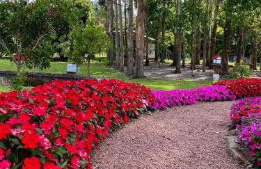 Casa Serra Gaúcha Nova Petrópolis 30 min Gramado - Foto 44