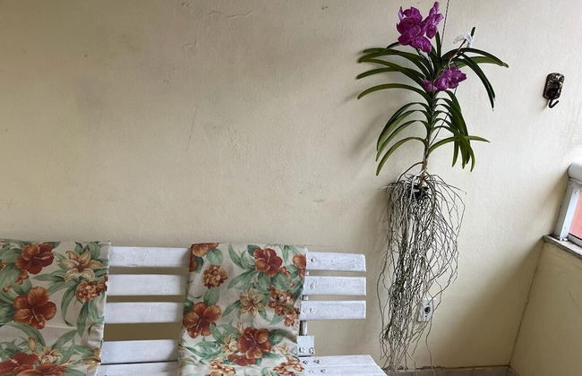 Ogiva 3 quartos com cama de casal - Photo 26