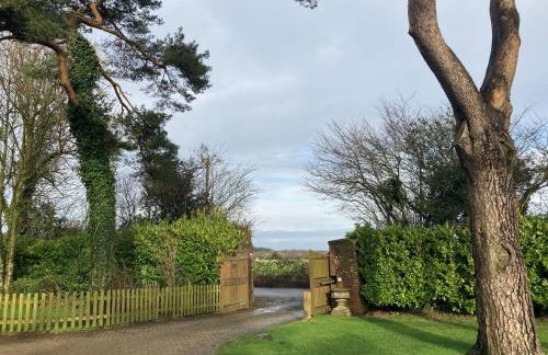 Wyndthorpe Cottage - Photo 22