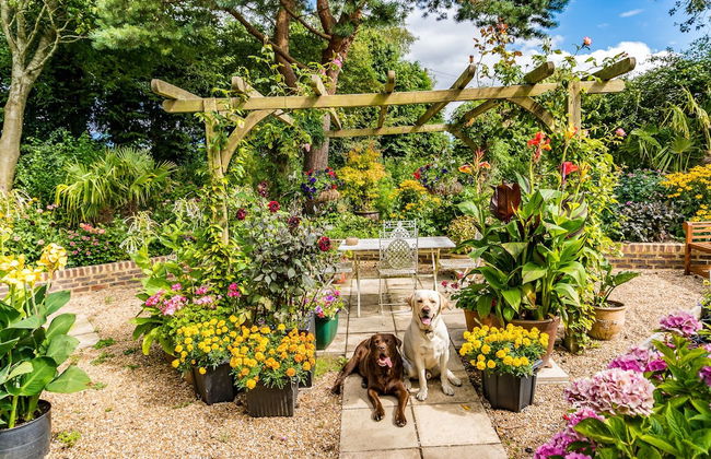 Covehurst Bay Holiday Cottages - Foto 55
