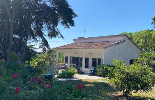 House of green leaves - Foto 6