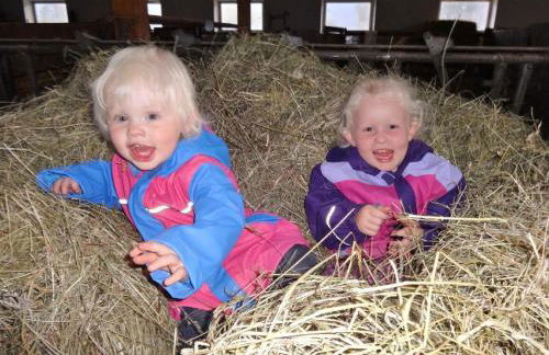 Urlaub auf dem Haberlhof - Foto 48