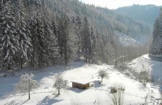 Comfy Apartment in Oppenau near Black Forest National Park - Foto 24