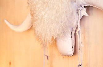 Appartement rénové au pied des pistes - Foto 14