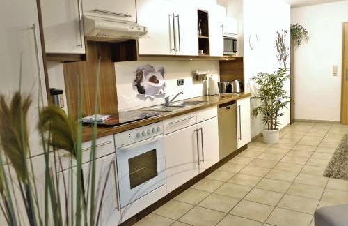 Ferienwohnung-Apartment Regnitztal - Foto 4