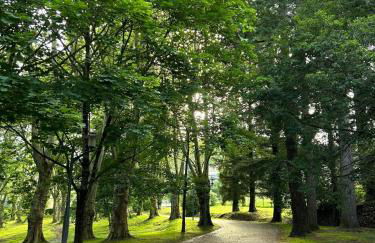 Château de Sérignac - Foto 8