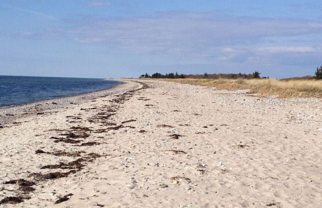 Anchorage Modern Retreat - Foto 17