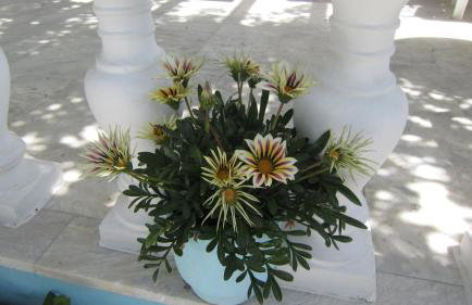 Sandalis Hotel - Foto 14