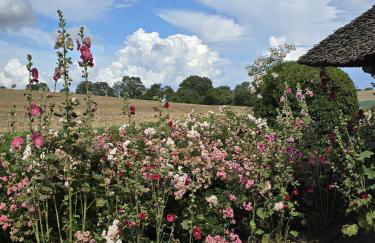 Urlaub unterm Reet - Foto 14