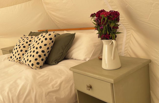 Nest and Nurture - Photo 11