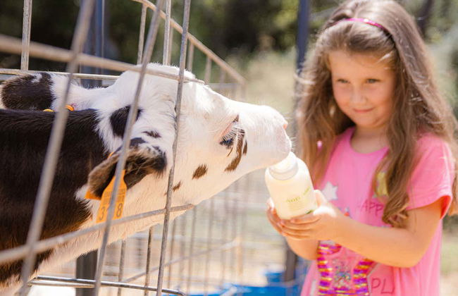 Visita a la quesería Subaida - Foto 12