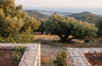 Villa Anthodesmi - Foto 14