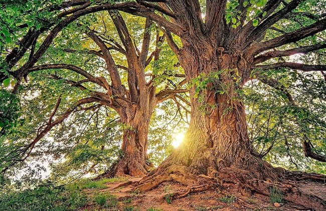 7 Person Holiday Home in Algaras-by Traum - Foto 40