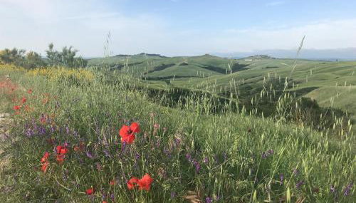 Il Borghetto Studio apartment in Crete Senesi - Foto 3