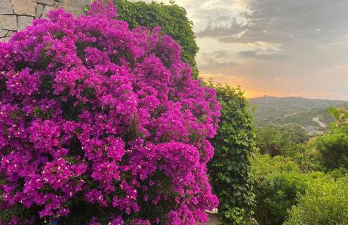 La Loggia Ferienhaus mit Privat Pool - Photo 69