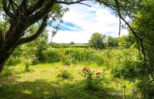 Ta Mill Cottages & Lodges - Pump Cottage - Foto 38