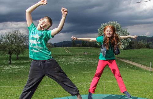 Bio-Ferienhof Höfler - Foto 16