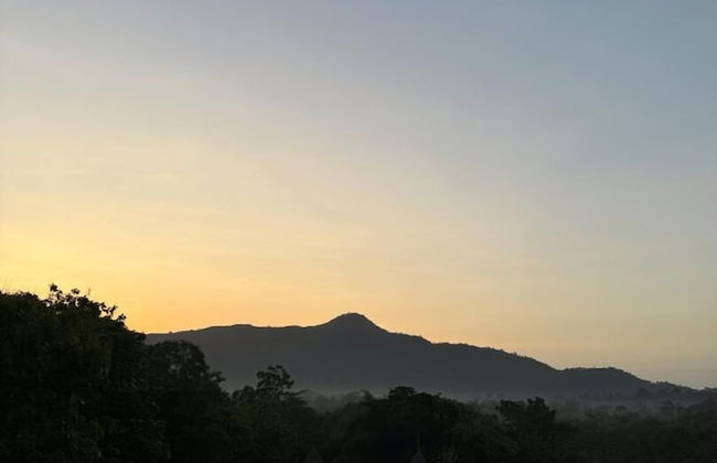 Refuge du Mont Agou - Photo 44