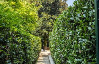 Villa Terme Padova-Relax & Wellness - Foto 7