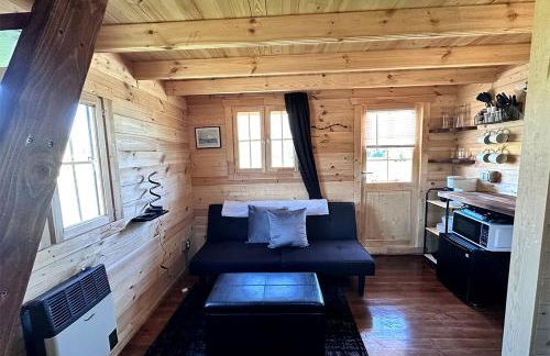 Eco-Friendly Lakefront Tiny House with Views of Panorama Mountain near Denali National Park - Foto 3