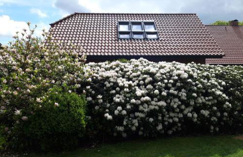 Ferienhof Kleemann - Foto 1