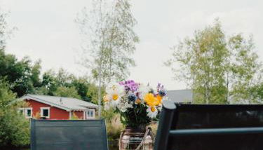 Natursee-Chalet,Spa mit Hot Tub,Jacuzzi,Sauna,Ponyhof,angeln - Foto 3