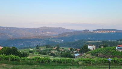 Casa da Avó - Foto 2