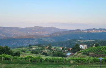 Casa da Avó - Foto 2