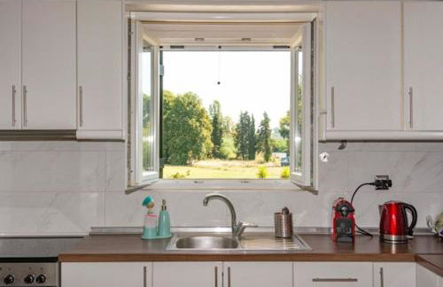 ROSE HOUSE - Foto 29