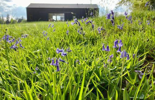 Le Cottage proche du Golf - Foto 24