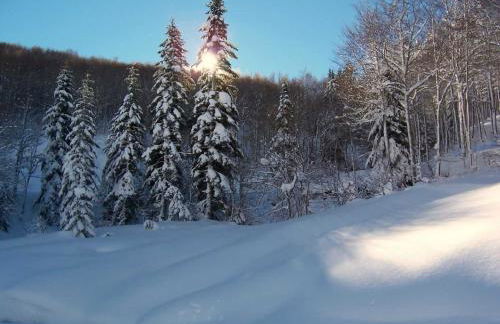 Mira Moleta bienvenidos a Canfranc - Photo 3