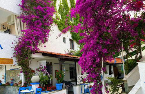 Haus Niko Apartments and Suites - Foto 22