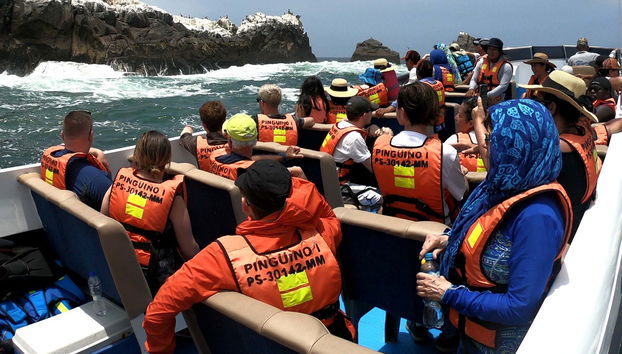 Paseo en lancha rápida por las Islas Palomino + Nado con lobos marinos