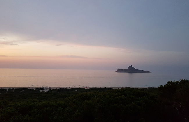 Dar Saïdane - Foto 25