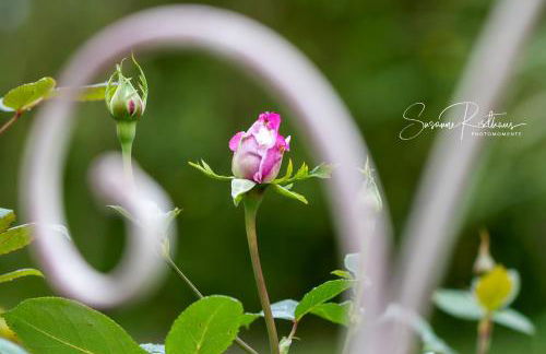 Nordsee-Domizil - Foto 21