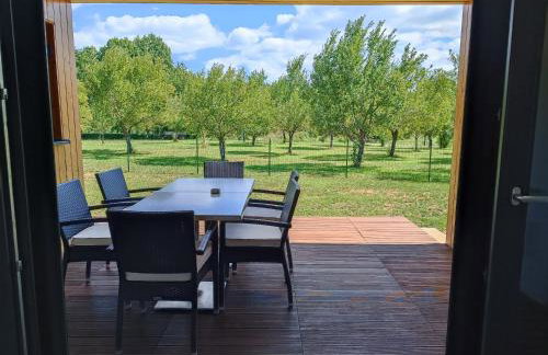 House Momentum - Foto 19