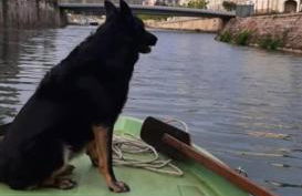 Le gîte embarqué - Géré par Presta-Zen'Services - Barque électrique en supplément - Foto 19