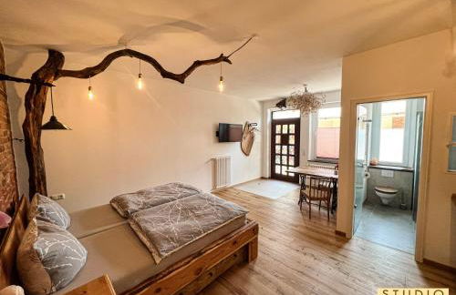 Altstadt Apartments - Photo 7