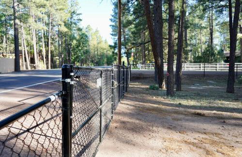 Modern Lakeside Family Fun Cabin - Foto 5