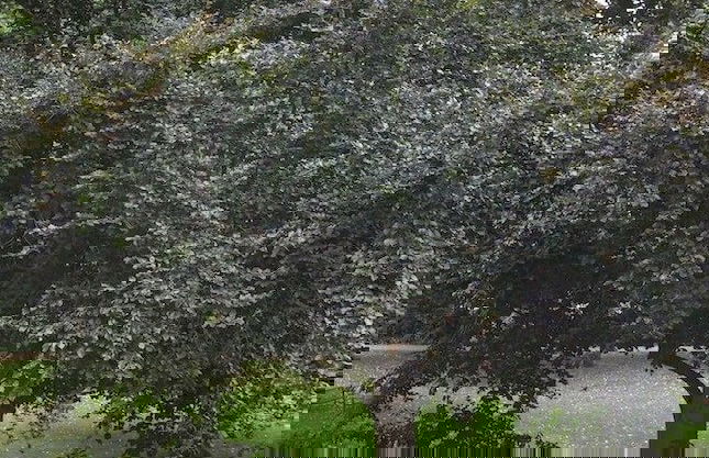 A Place Like Home - Lovely Flat in Pimlico Area - Foto 22