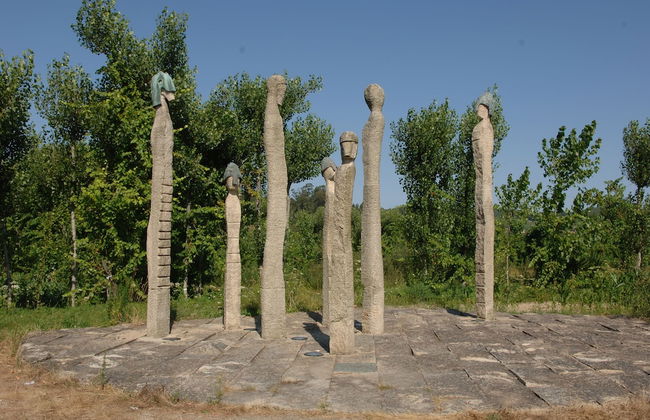 Vale de São Torcato Houses and Wine Bar - Photo 56