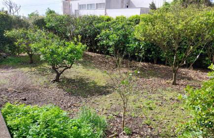 Retiro das Camélias 1 - Foto 49