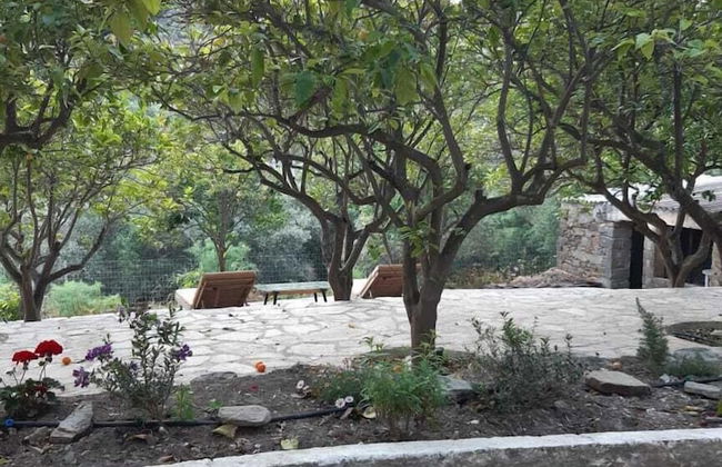 Diamoni Afroditi - Photo 23