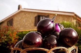 Agriturismo Al Lago Verde - Foto 52