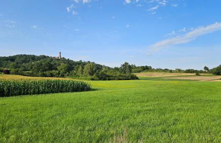 Zweite Heimat Bamberg - stadtnah mit Balkon und Parkplatz - Foto 22