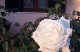 Residence Ai Campi Da Golf Saturnia - Foto 66